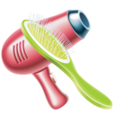 Hair Dryer 